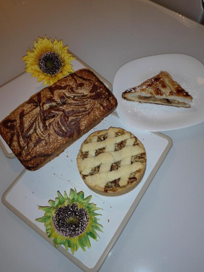 Girasole Grazioli 47 Bed and Breakfast Trento Exteriör bild